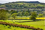Farmland and countryside, Stanway, Gloucestershire, The Cotswolds, England, United Kingdom