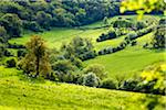 Countryside, Snowshill, Worcestershire, The Cotswolds, England, United Kingdom