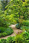 Pathway through Hidcote Manor Garden, Hidcote Bartrim, near Chipping Campden, Gloucestershire, The Cotswolds, England, United Kingdom