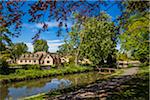 River Eye and countryside, Lower Slaughter, Gloucestershire, The Cotswolds, England, United Kingdom