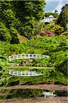 Footbridge Reflected in Pond at Trebah Gardens, Cornwall, England, United Kingdom