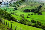 Farmland near Llanuwchllyn, Gwynedd, Wales, United Kingdom