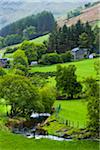 Farmland near Llanuwchllyn, Gwynedd, Wales, United Kingdom