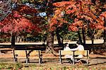 Senior Japanese couple sitting on a bench in a city park