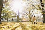 Senior Japanese couple in a city park in Autumn