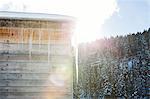 Sunlit icicles on log cabin roof