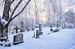 View of grave stones in snow covered cemetery at dusk, Hemavan, Sweden