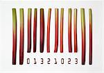 Barcode made with rhubarb sticks