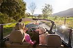 Mature woman and dog, in convertible car, rear view