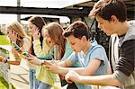 Five girls and boys in stadium stand reading smartphones