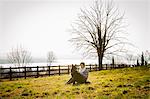 Mid adult woman and her dog sitting in lakeside field