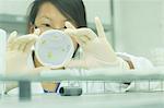 Close up of female scientist looking at plant sample in petri dish in lab