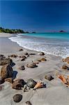 Shells and rocks lie on the beach of Spearn Bay lit the tropical sun and washed by Caribbean Sea, Antigua, Leeward Islands, West Indies, Caribbean, Central America