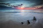 Small tree trunks make a unique setting at sunset on Fryers Beach, Antigua, Leeward Islands, West Indies, Caribbean, Central America