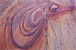 Purple loops in sandstone, Coyote Buttes Wilderness, Vermilion Cliffs National Monument, Arizona, United States of America, North America