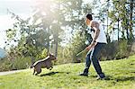 Young man throwing stick for dog in park