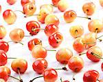 Studio shot of cherries on white background