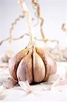 Studio shot of garlic on white background