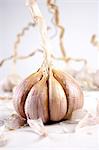 Studio shot of garlic on white background