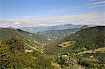 France, Rhone-Alpes, Provencal Drome, forest of Saou, landscape.