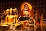 Camdodia, Siem Reap Province, Siem Reap Town, Angkor National museum, the "Thousand Buddhas gallery"