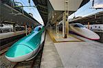 Japan, Tokyo City,Tokyo Station, the new Hayabusa Bullet Train