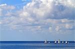 Spain, Canary islands. Fuerteventura. Regatta.