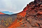 Italy. Sicily. Etna. Silvestri crater.