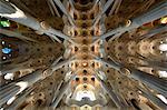 Sagrada Familia. Basilica and Expiatory Church of the Holy Family in Barcelona. Antoni Gaudi. Interior. Column, ceiling and stained glass window. Spain.