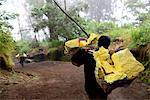 Sulfur mining industry in the Ijen volcano in East Java, Java island, Indonesia, South East Asia