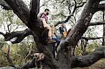 Smiling young woman and two young men sitting in a tree.