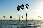 Tempe lake in Sulawesi island, Indonesia,South East Asia