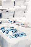 Worker inspecting pill packets exiting production equipment