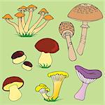 Various mushroom collection 01 - vector illustration.
