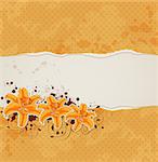 Background with lily and ragged orange paper