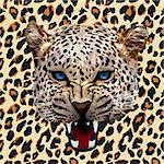 leopard print pattern. Abstract leopard pattern vector
