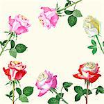 Background with red roses. Vector watercolor Illustration