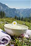 Oxeye Daisy on Bowl with Water and Chamomile, Strobl, Salzburger Land, Austria