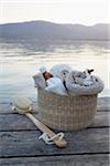 Towels and Brush on Dock, Wolfgangsee, Salzburger Land, Austria