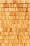 Close-up of Wooden Shingle Wall, Salzburger Land, Austria