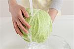 Woman washing cabbage in an open kitchen