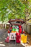 Dogs sit atop luggage piled into a packed car