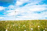 View of wind turbine in field of cotton grass, UK