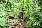 Rear view of young female tourist strolling in jungle,  Manoa Falls, Oahu, Hawaii, USA