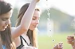 Teenage girls making daisy chains in park