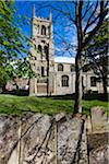 King's Lynn Minster, King's Lynn, Norfolk, England, United Kingdom