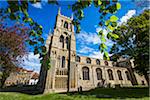 King's Lynn Minster, King's Lynn, Norfolk, England, United Kingdom