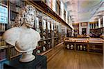 Interior of British Museum, Bloomsbury, London, England, United Kingdom