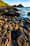 Basalt Columns at Giant's Causeway, near Bushmills, County Antrim, Northern Ireland, United Kingdom