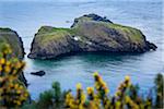 Carrick-A-Rede Rope Bridge from Portaneevey Cliffs, County Antrim, Northern Ireland, United Kingdom